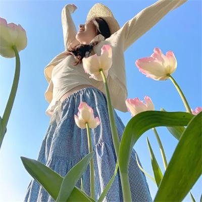 飞燕迎春
